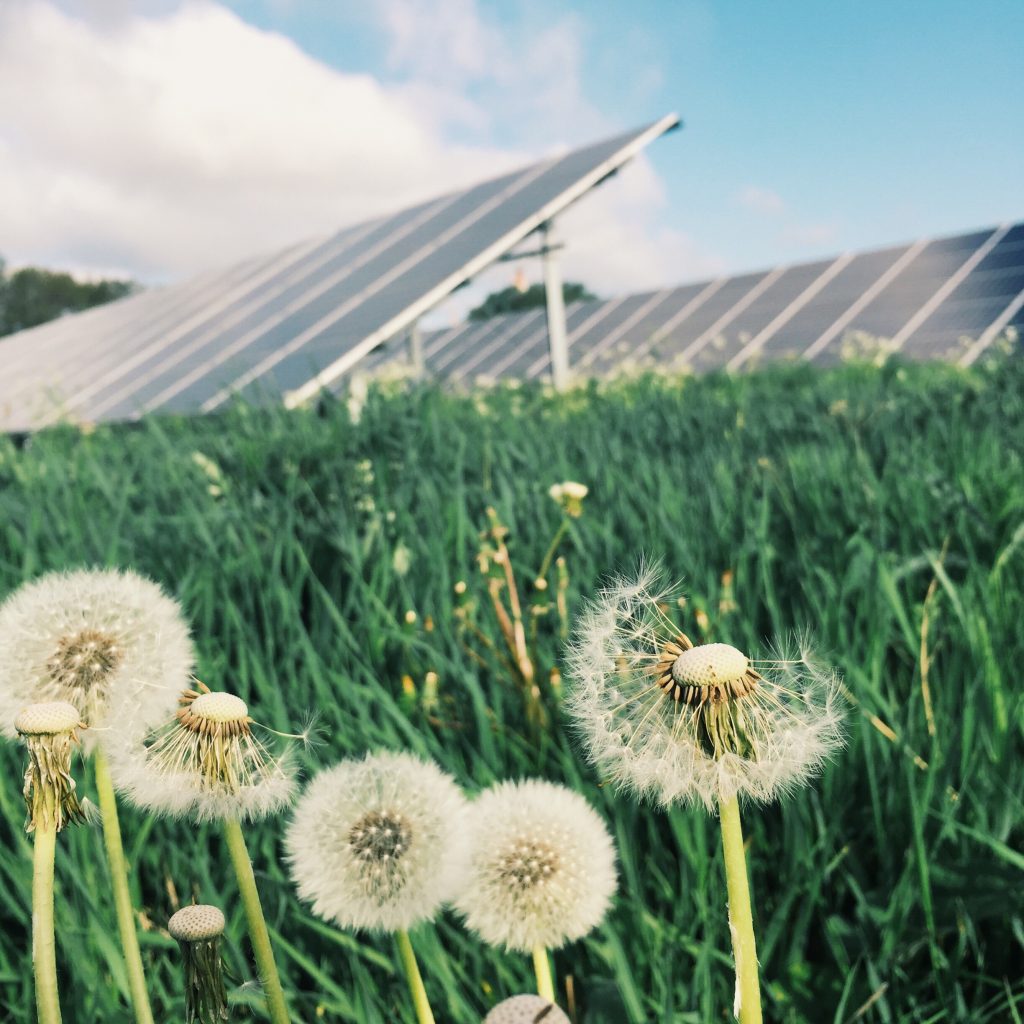 Tipps und Tricks zur Solarpanel-Pflege und Wartung
